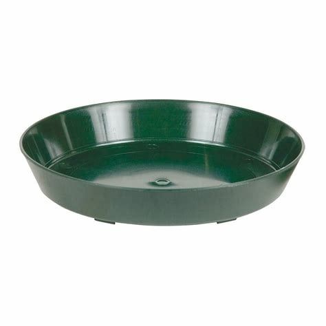 Green Premium Saucers 8&#39;&#39;