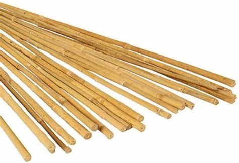3&#39; Bamboo Stake, pack of 25
