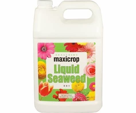 MaxiCrop Original Liquid Seaweed gal