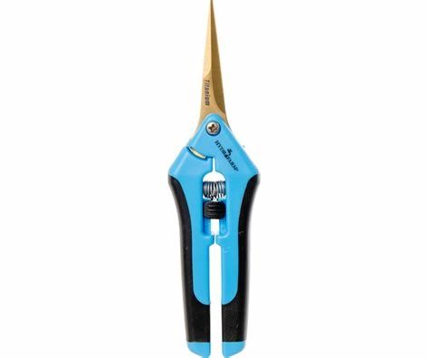Precision Curved Blade Pruner Titanium
