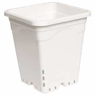 Active Aqua 12&quot; x 12&quot; Square White Pot, 12&quot; Tall