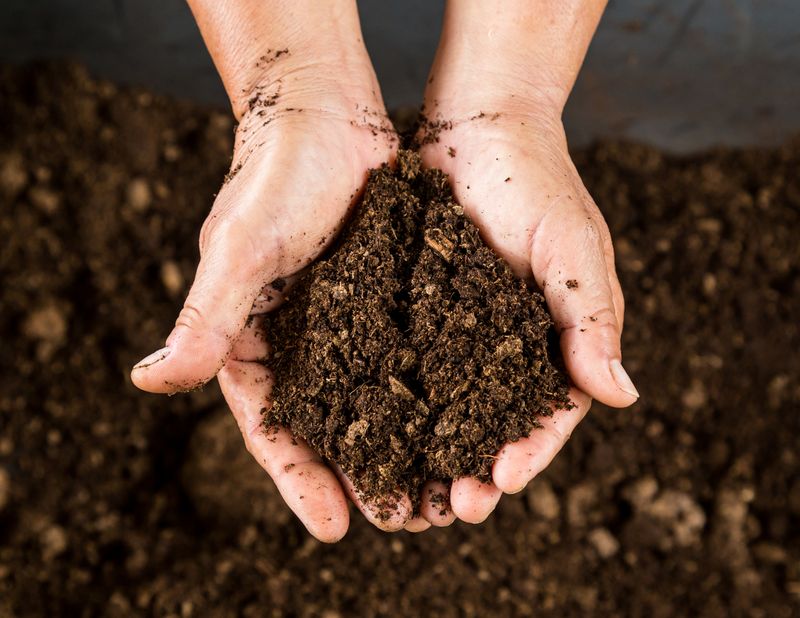 Soil Secrets TTP Compost 5 Gallon .6 Cubic Ft.