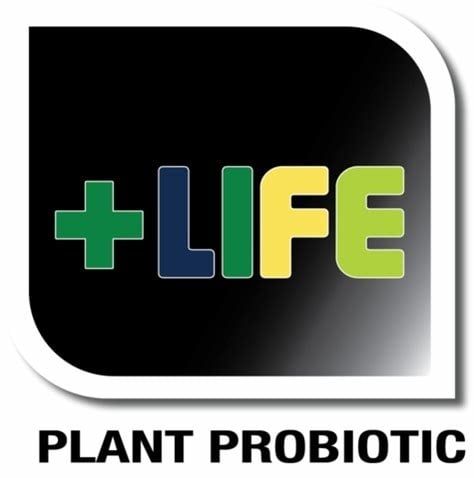 VEG+BLOOM +LIFE ADDITIVE, 100 gram