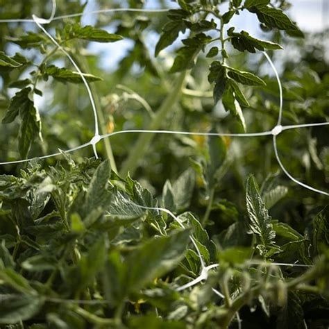 Sungrower Plastic Trellis Netting 4’ x 100’