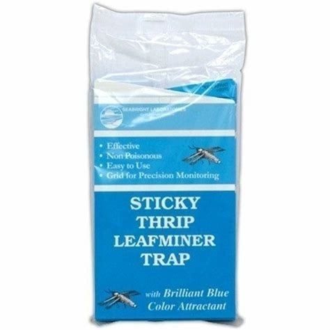 Blue Sticky Thrip Leafminer Trap, 5 pack