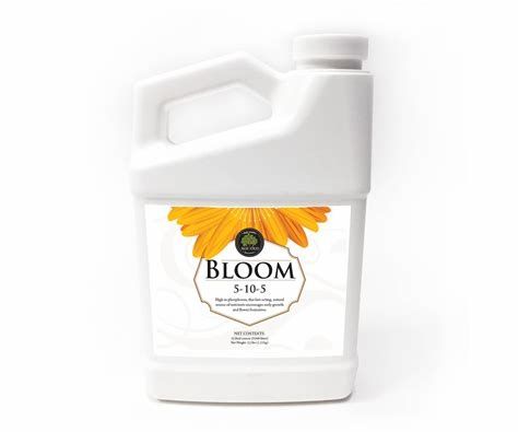Age Old Bloom Quart