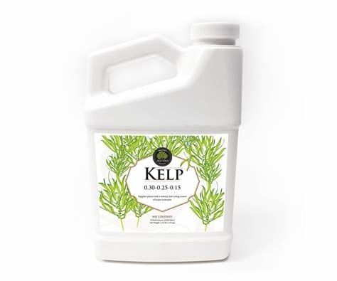 Age Old Kelp Quart