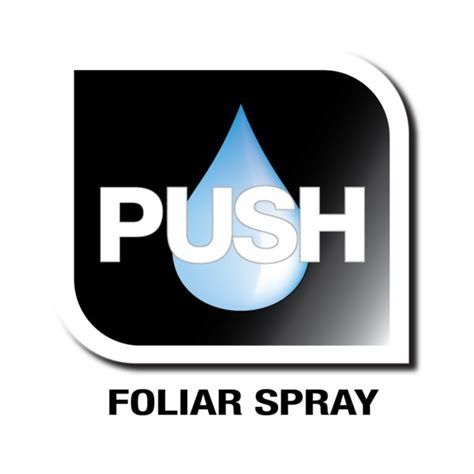 VEG+BLOOM PUSH FOLIAR, 250 ml