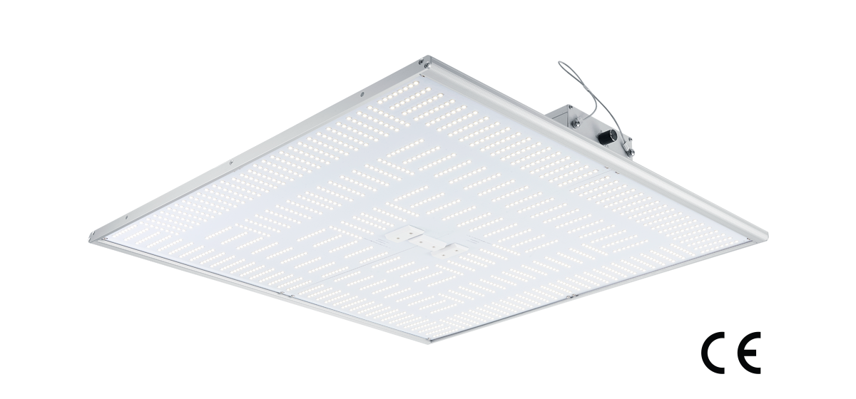 NextLight 420h LED Light