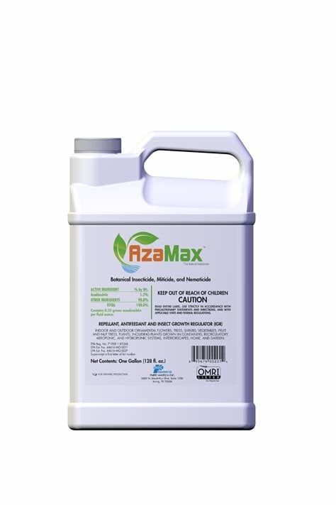AzaMax Pint