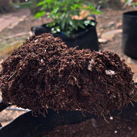 Soilutions Super Soil, 1 cubic ft
