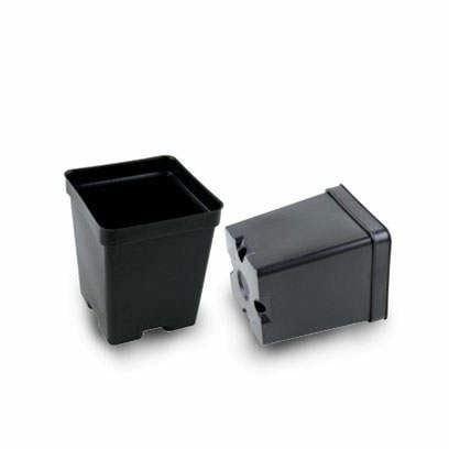 4&quot; x 4&quot; Square Container