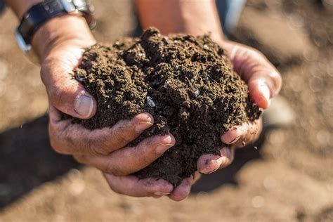 Fertilome Soil 8 quart