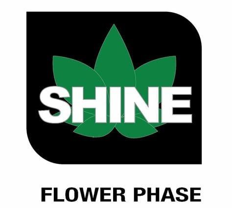 VEG+BLOOM SHINE ADDITIVE, 1 lb