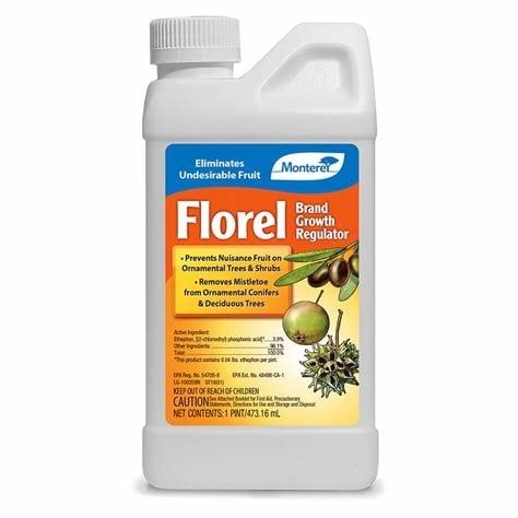 Monterey Florel, 16 oz