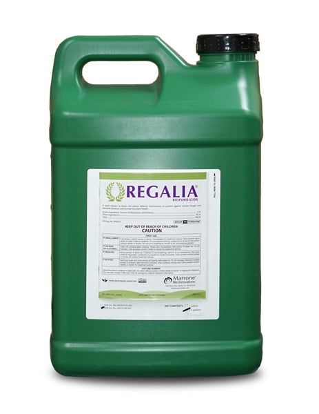 Marrone Bio Innovations Regalia Gallon