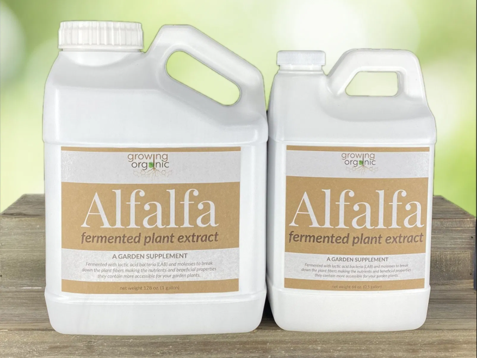 Growing Organic Alfalfa Fermented Extract, 1 Gallon