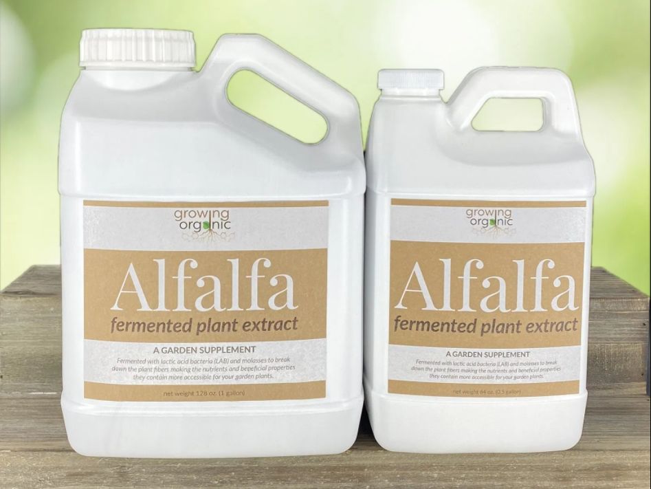 Growing Organic Alfalfa Fermented Extract, 1/2 Gallon