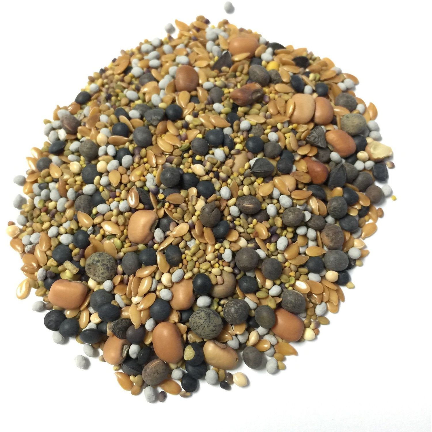 BuildASoil Cover Crop Blend - 12 Seed Mix 60% Clover, 10 lb bag