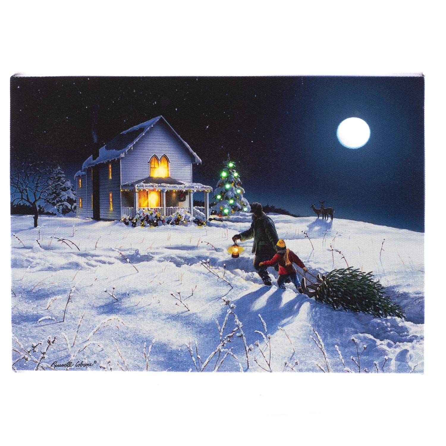 LED Canvas, Bringing Home Tree Sm