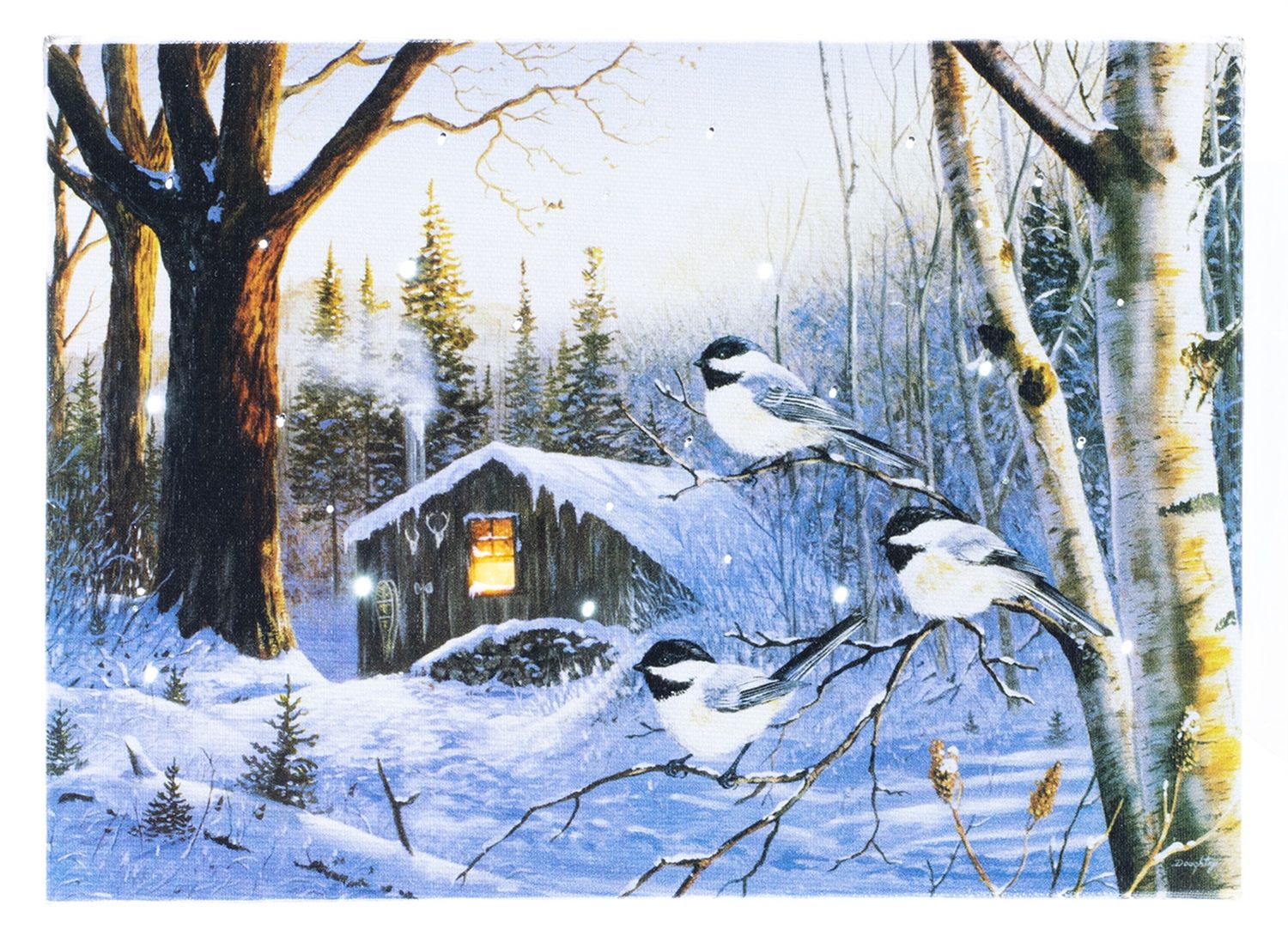 LED Canvas, Snow Birds &amp; Cabin