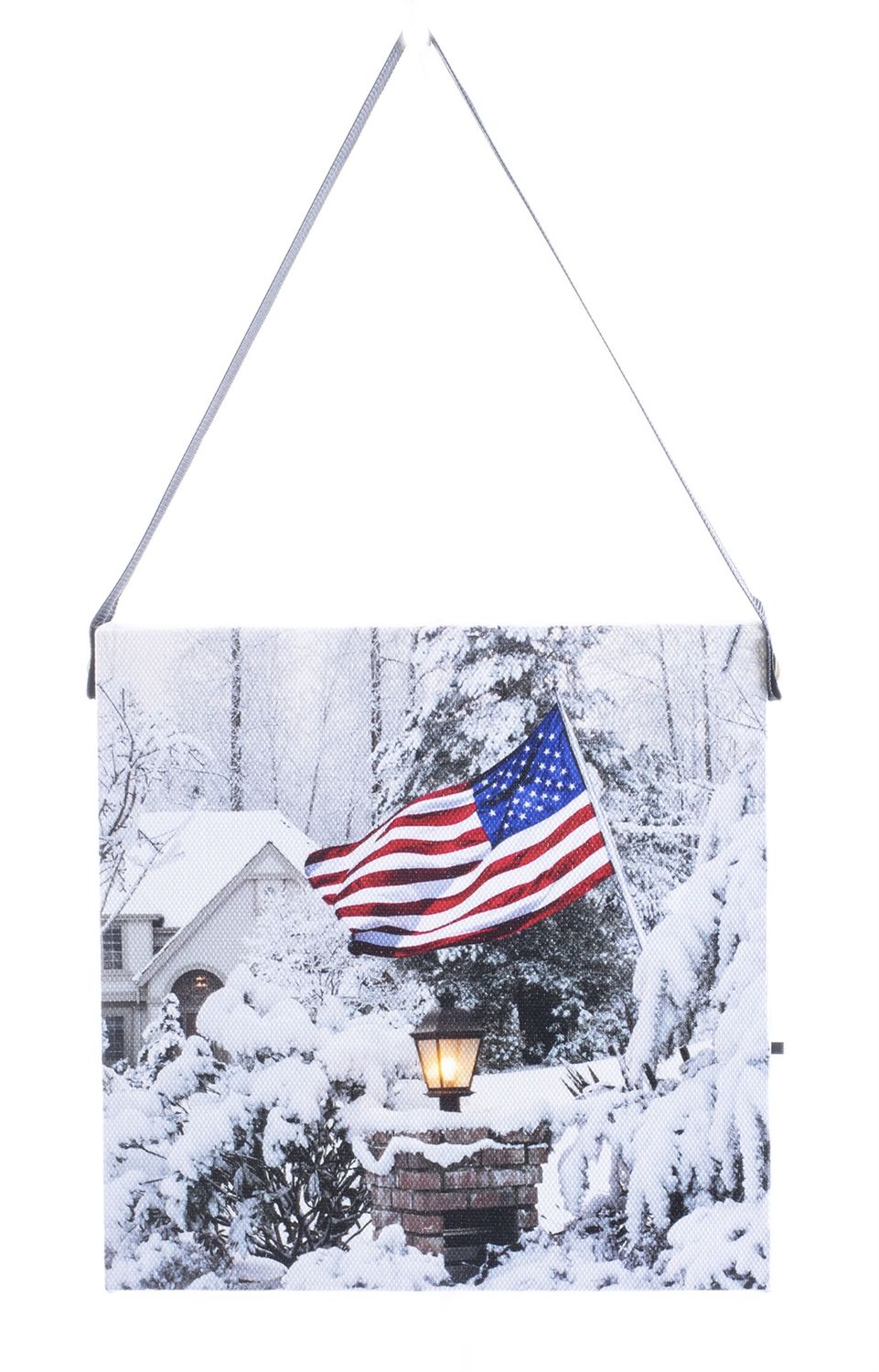 LED Canvas, Flag Light hanging