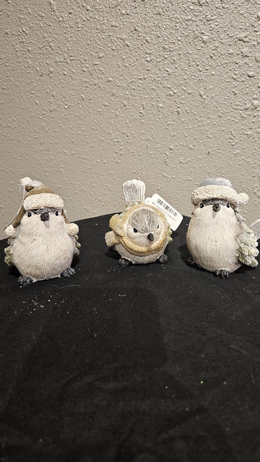 Bird, Snowbound Grey Hat 3 ass't