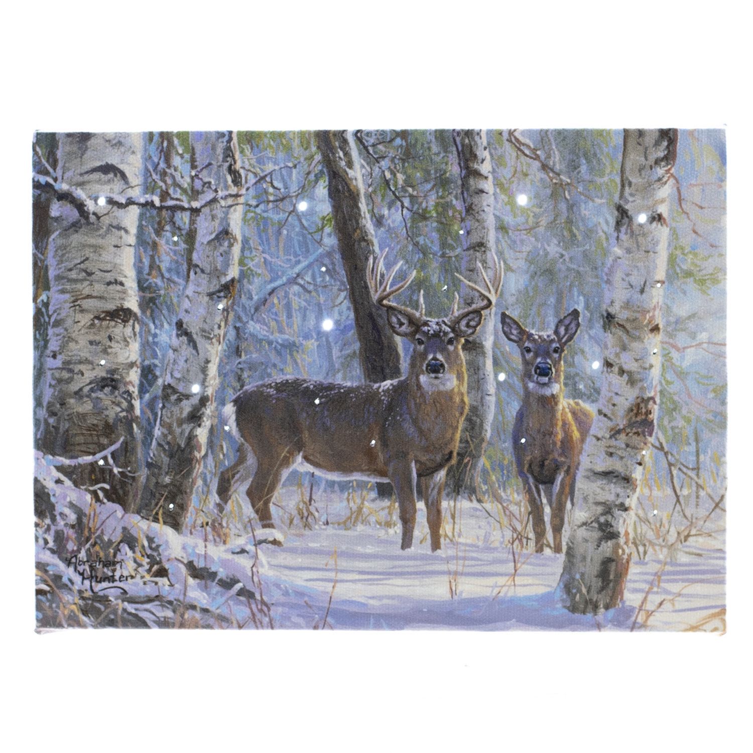 LED CANVAS, Deer Family
