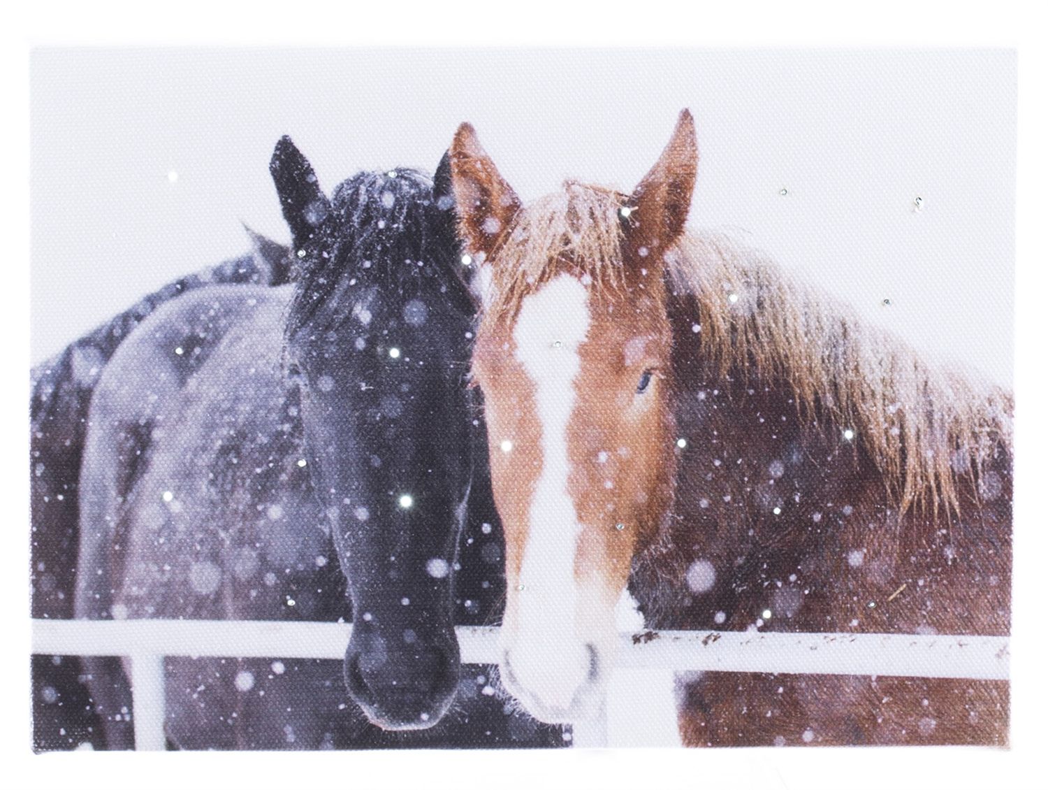 LED CANVAS, Loving Horses Loving Horses