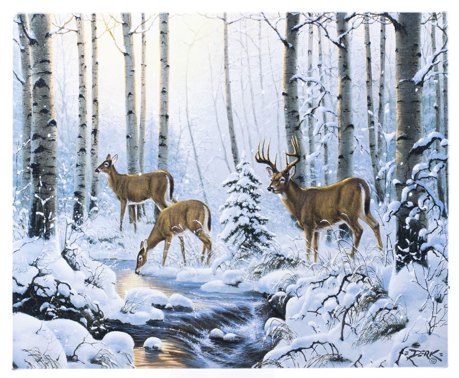 Light, Dear Family Forest Stream