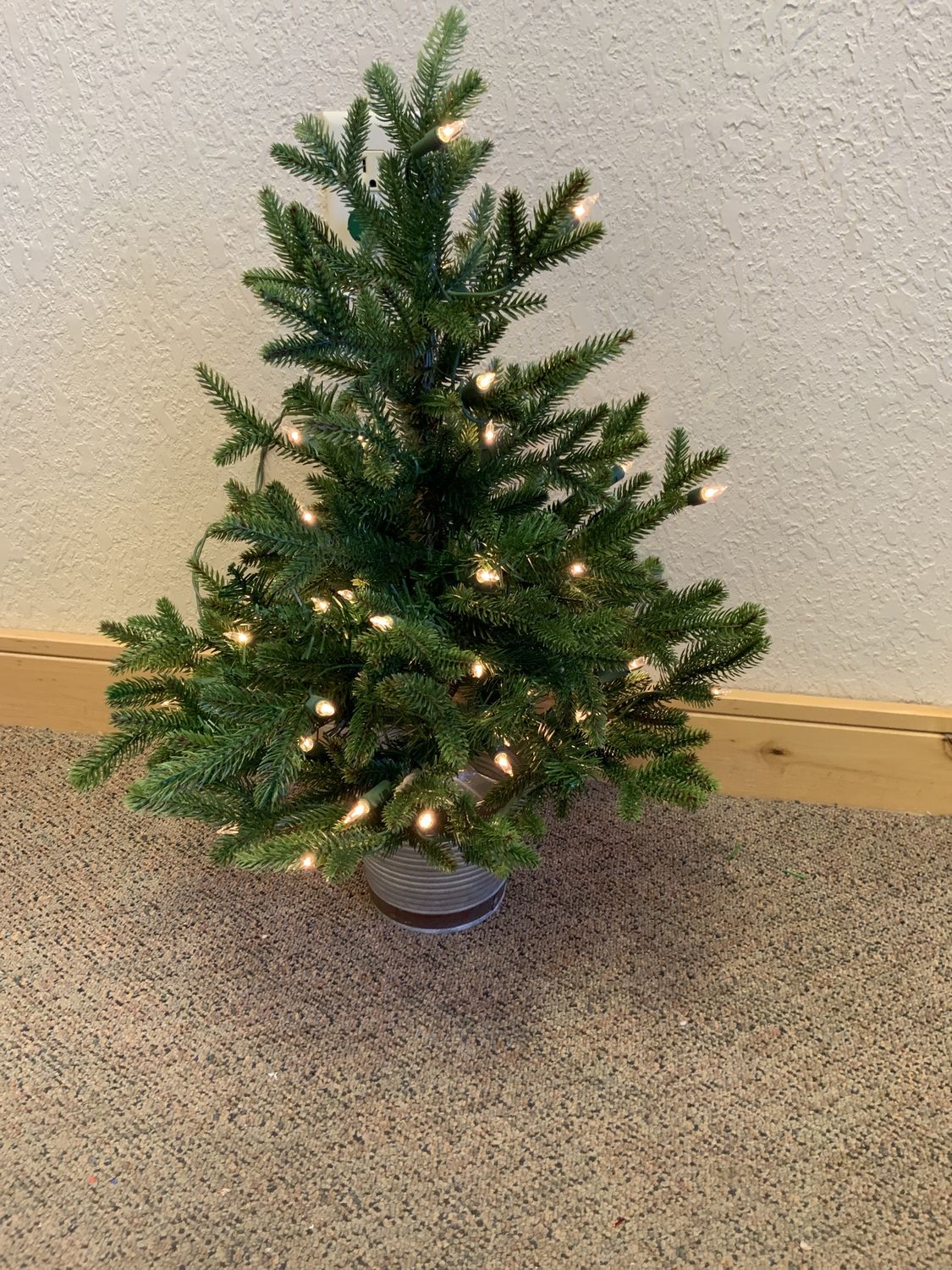 Tree, Glenmore Potted Spruce Clear Lt 24"