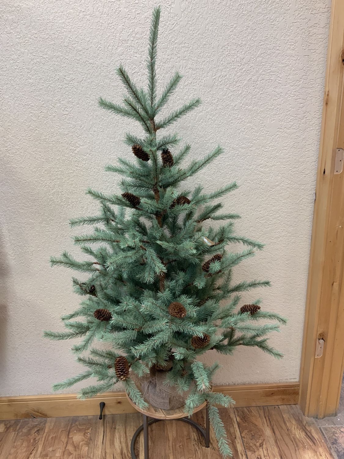 Tree, Western Fir 48" burlp bs