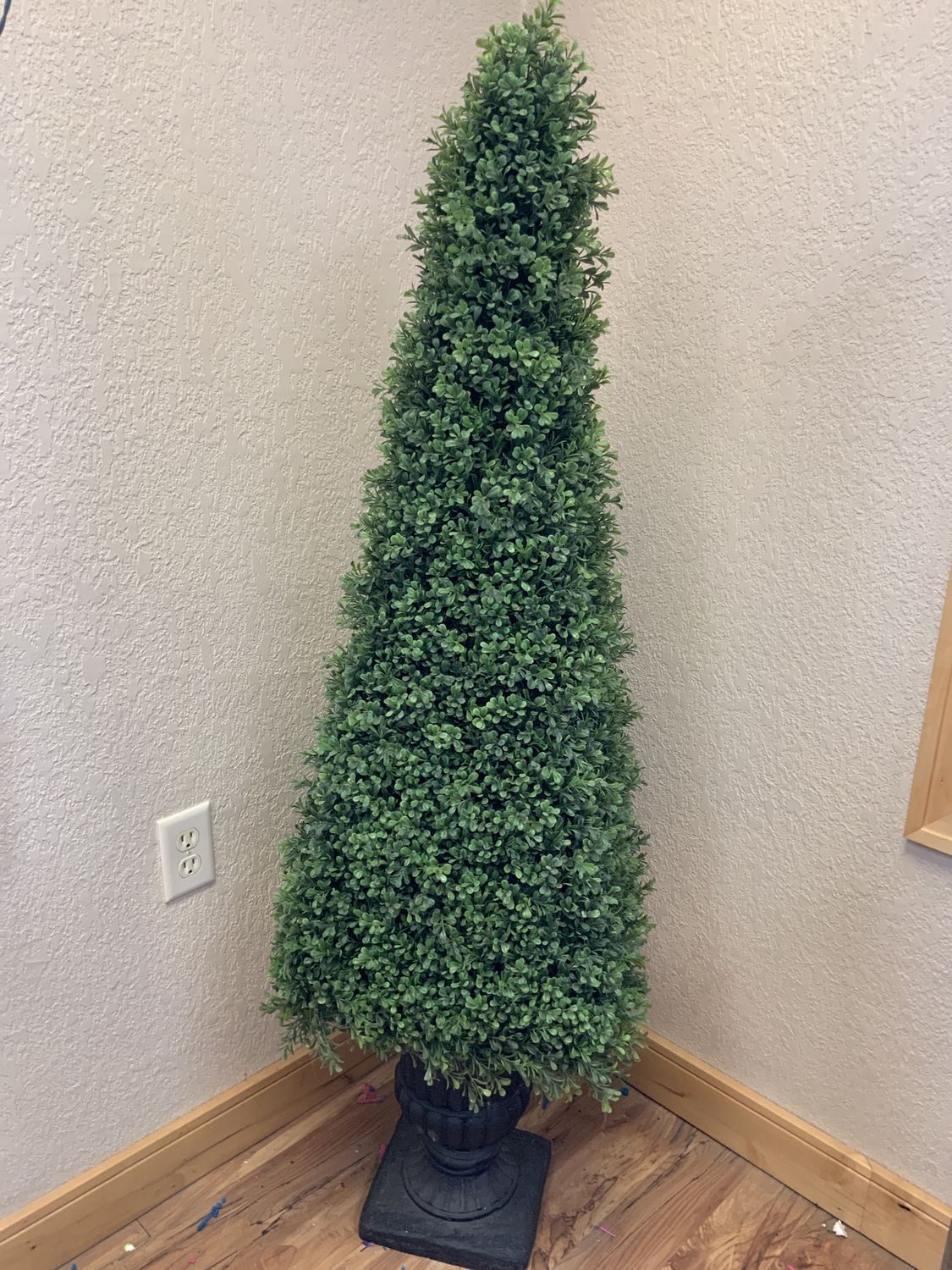 Tree, Boxwood Obelisk 60"