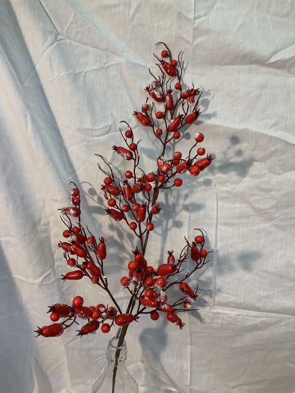 Spray, Rosehip Berry 32&quot;