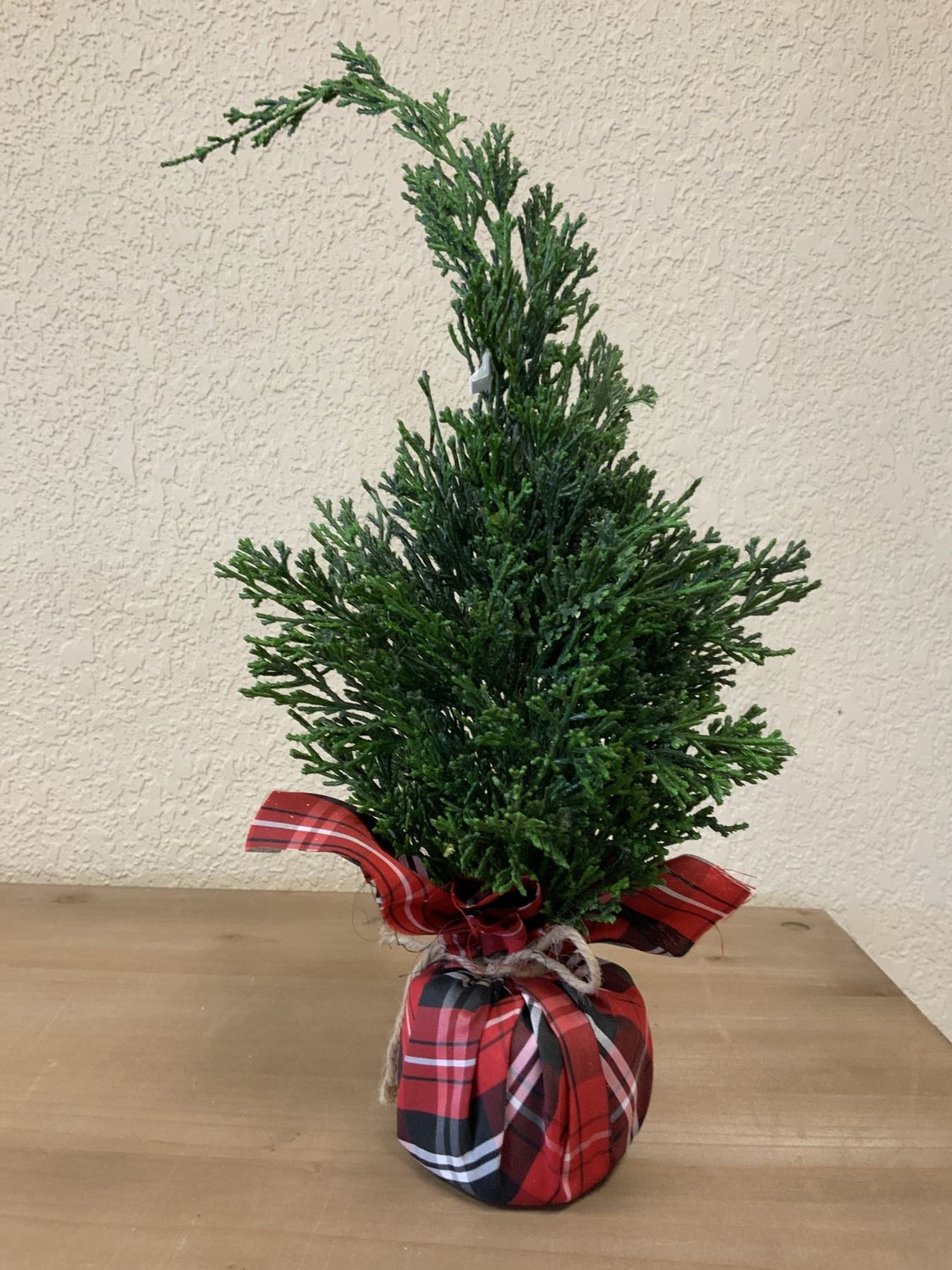 Cedar Tree in Plaid Sack 17"