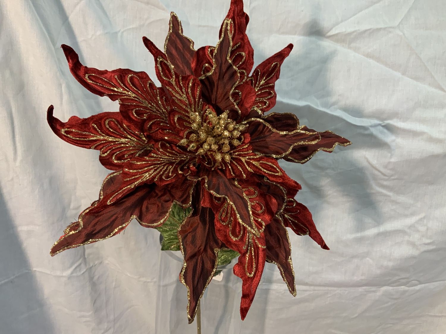 Stem, Scrollwork Poinsettia