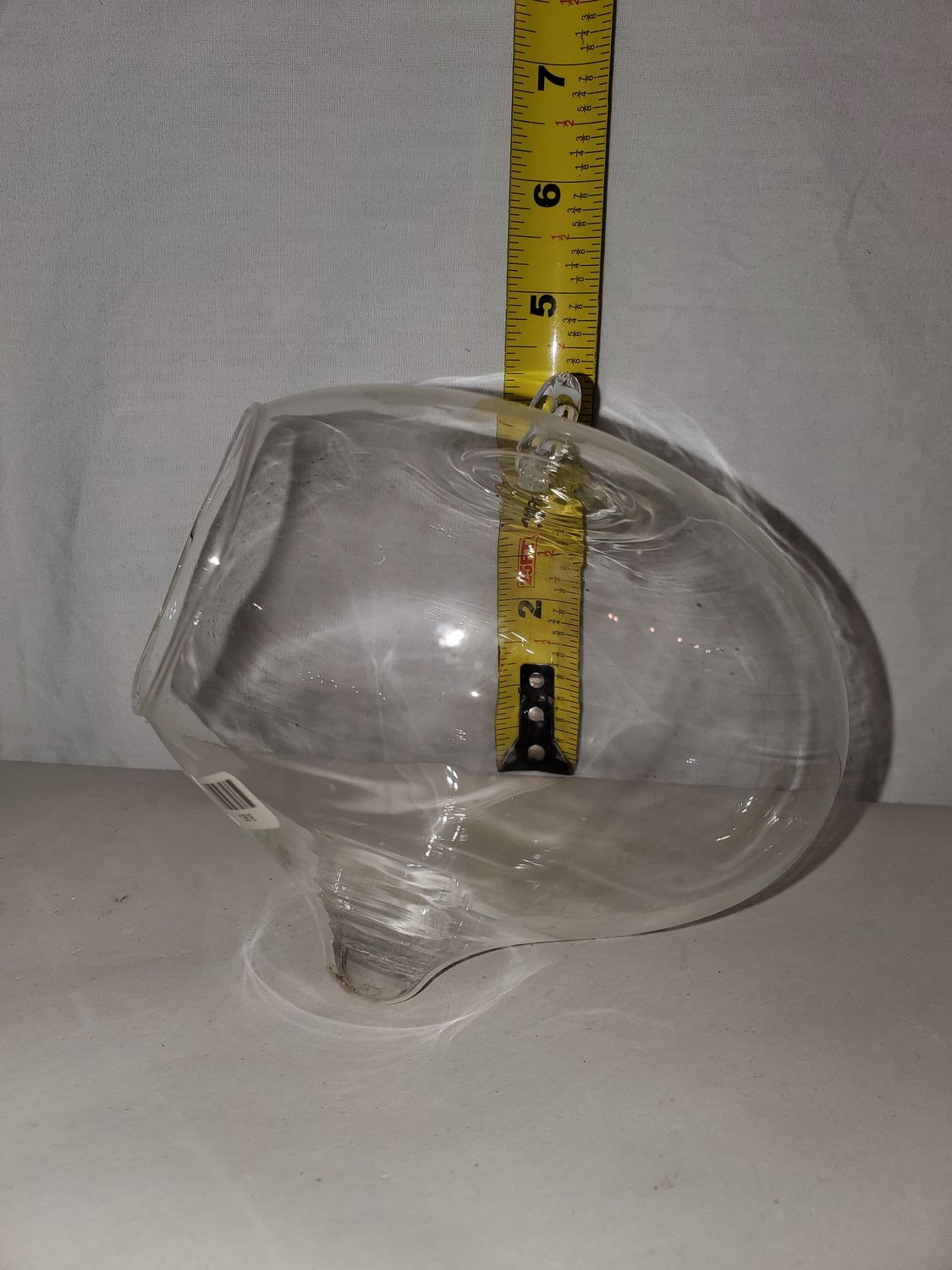 Terrarium, Onion 6"H 5"W