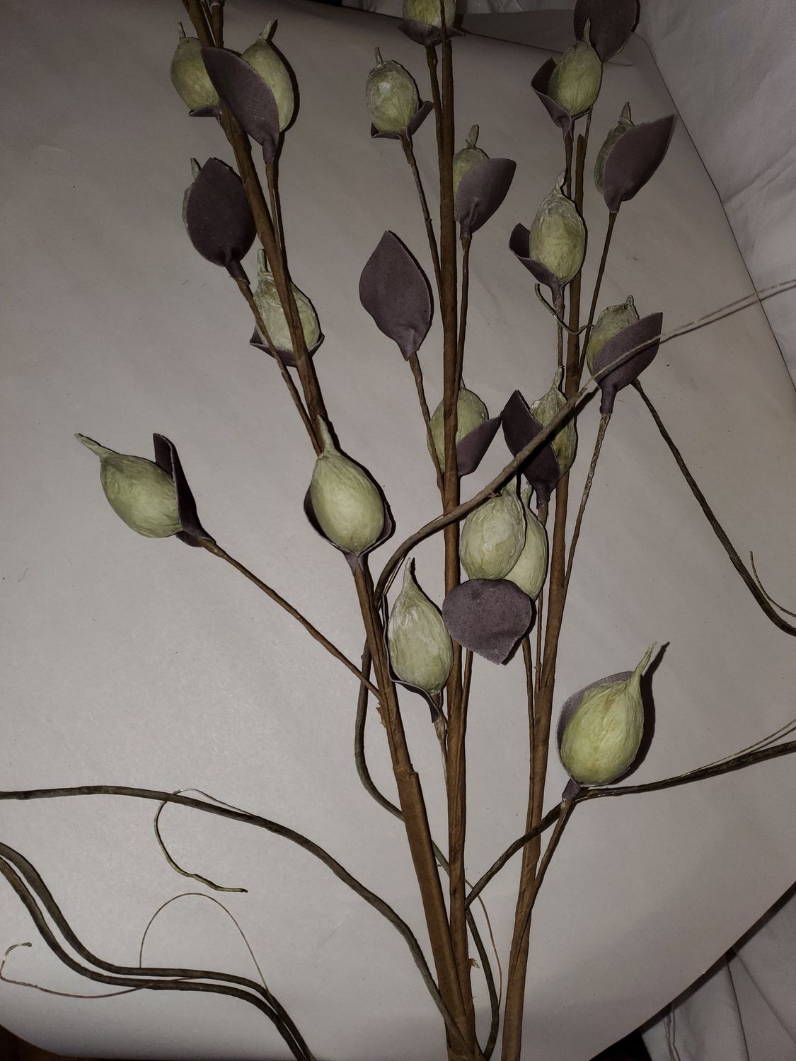 Spray, Green Pods 48"