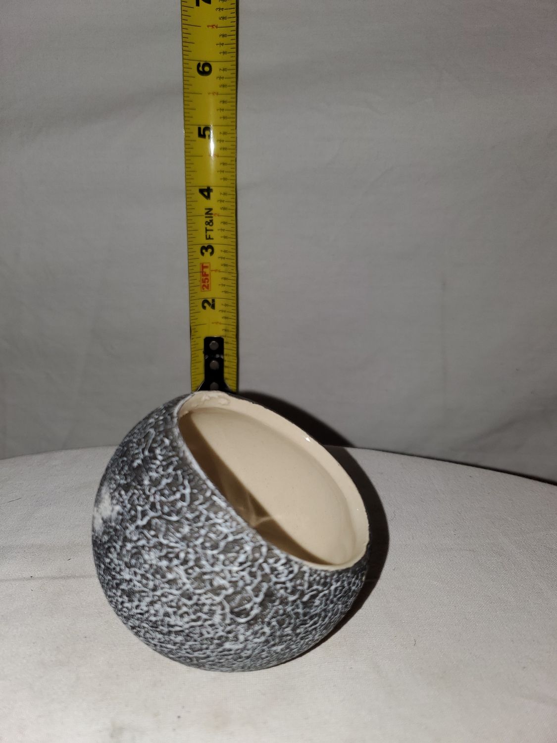 Terrarium, Koski Black 2.5" Black