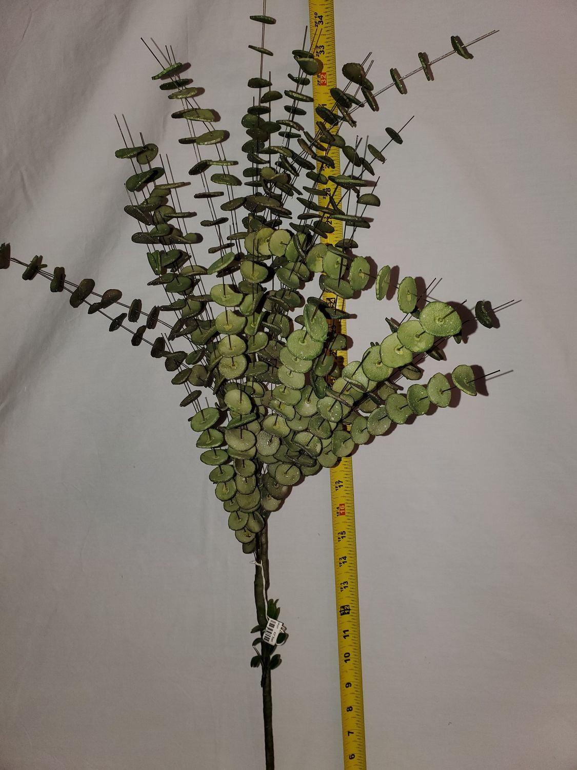 Branch, Green Eucalyptus 43" foam