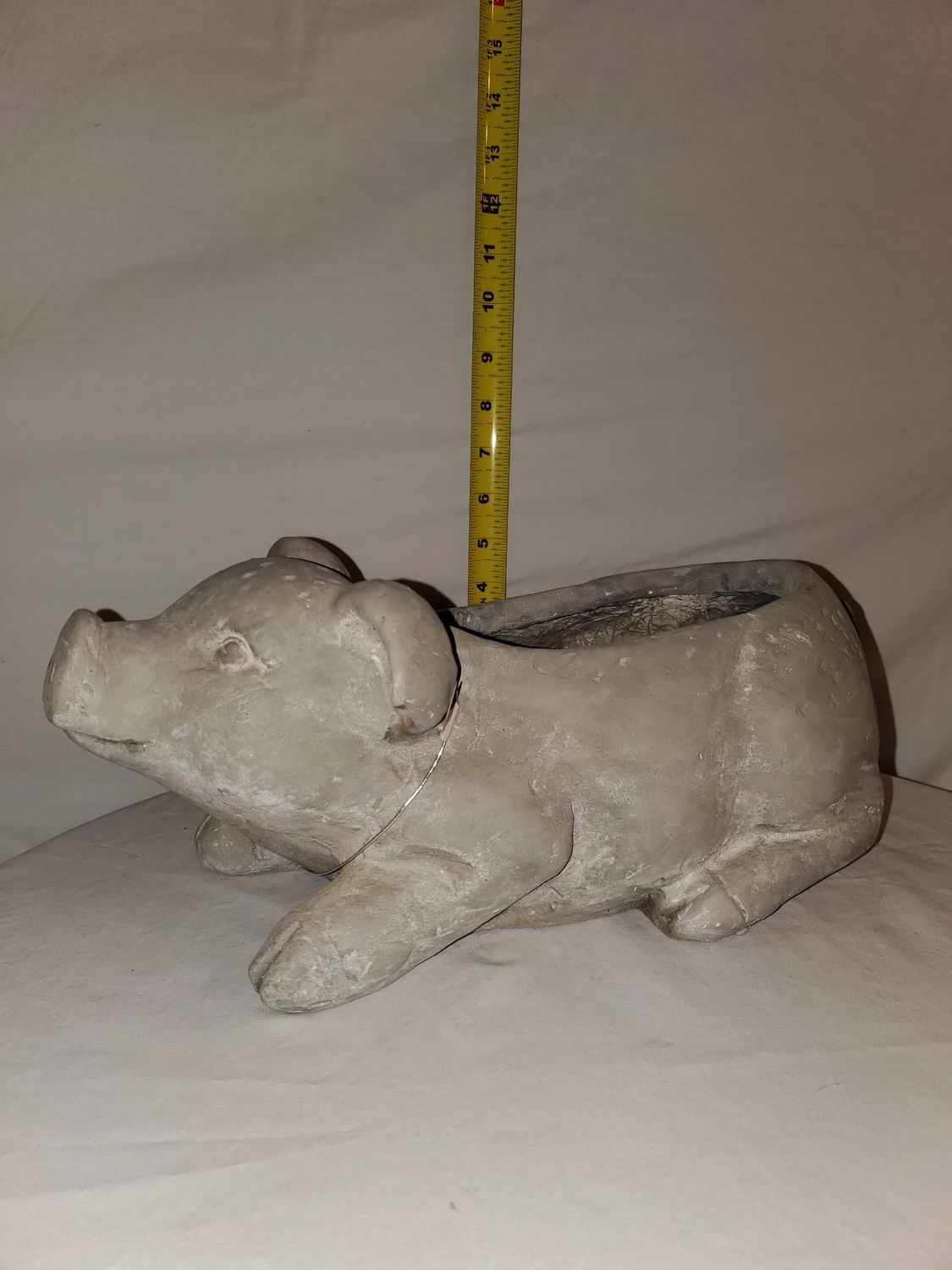 Planter, Pig