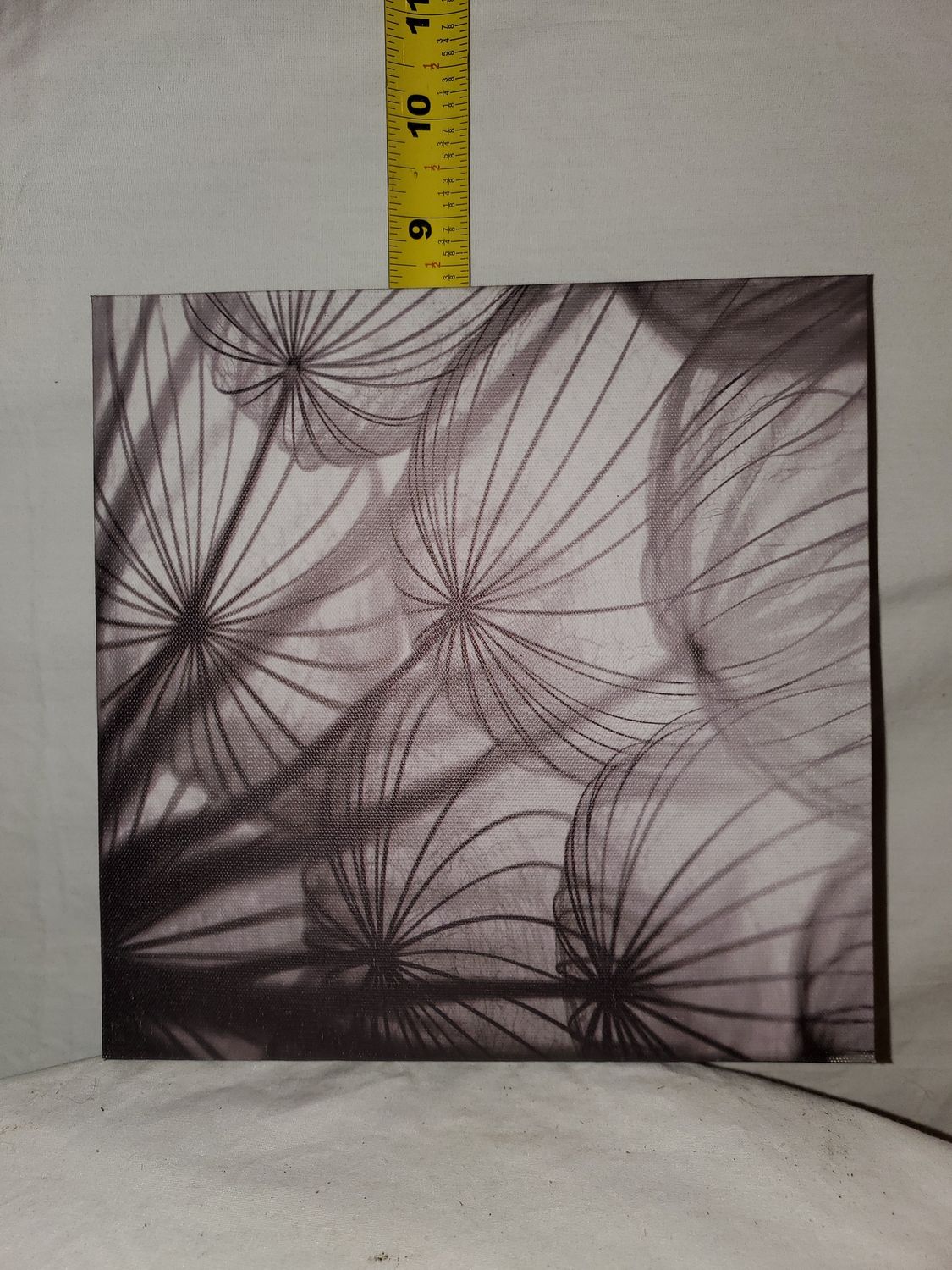 Print, Dandelion Print canvas 8x8