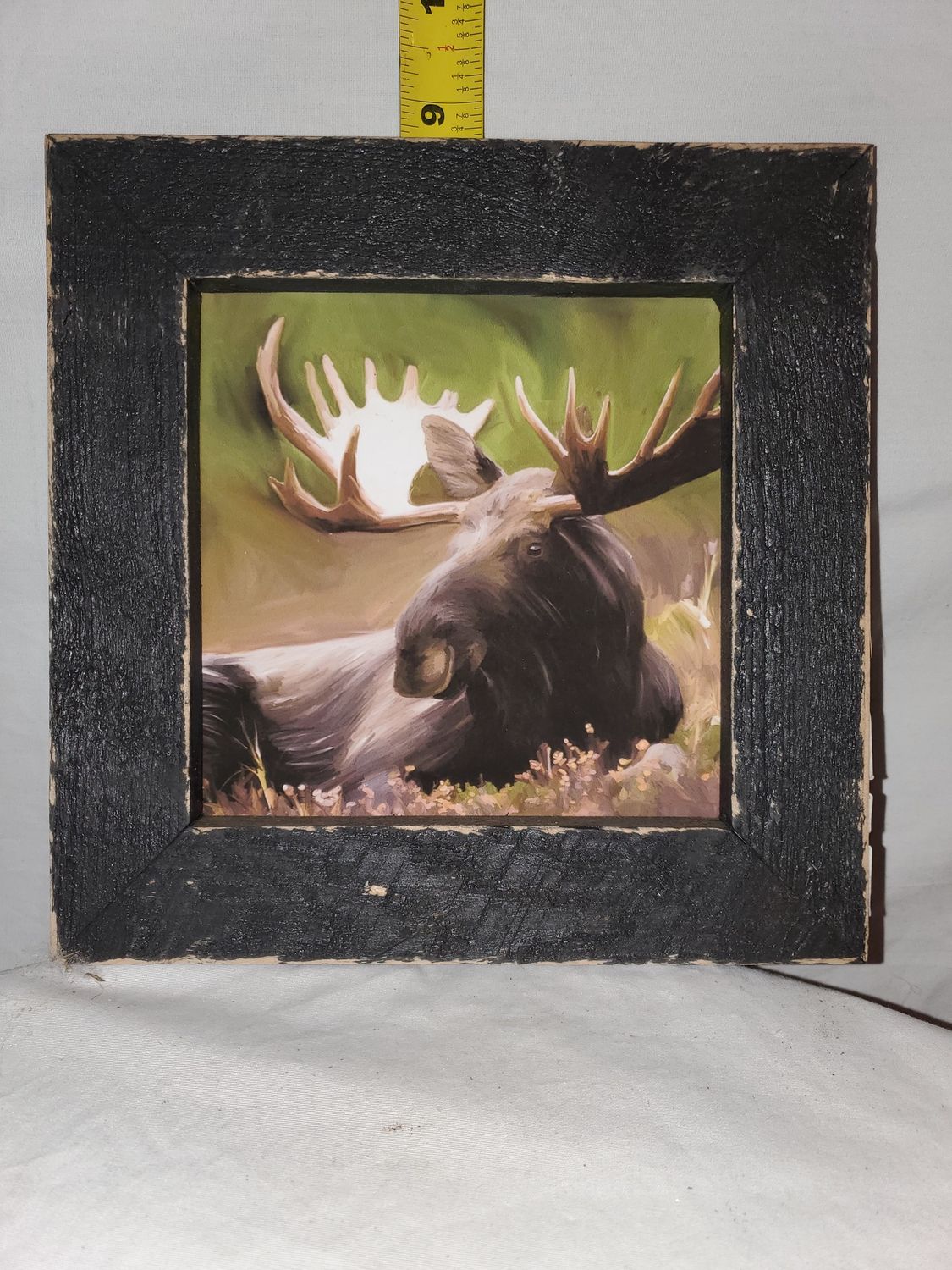 Picture, Moose 8x8 wood frm
