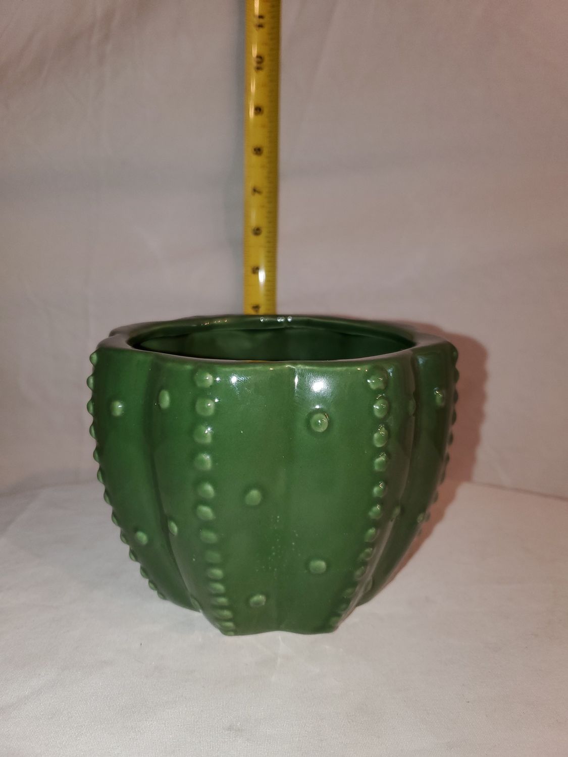 Planter, Cactus