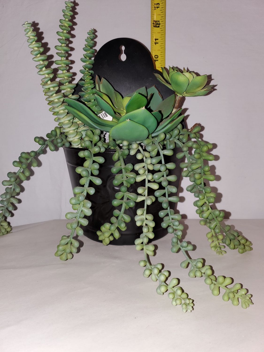 Wall Succulent/Planter 12"