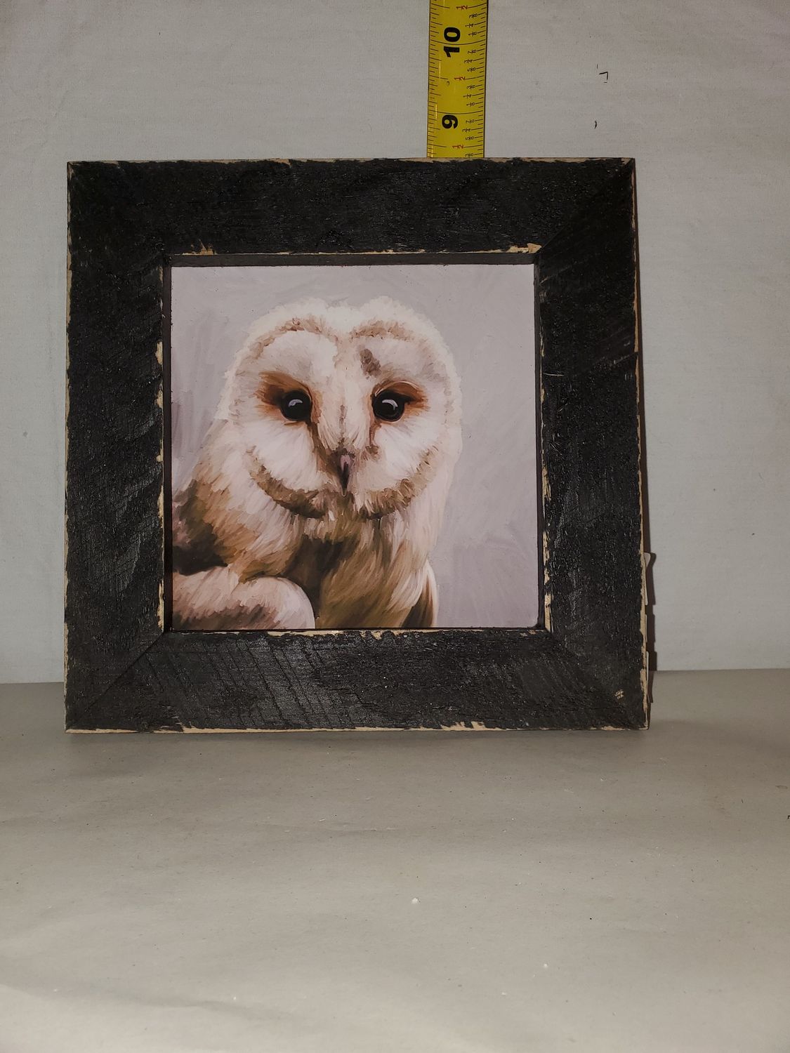 Picture, Barn Owl 8x8 wood frm