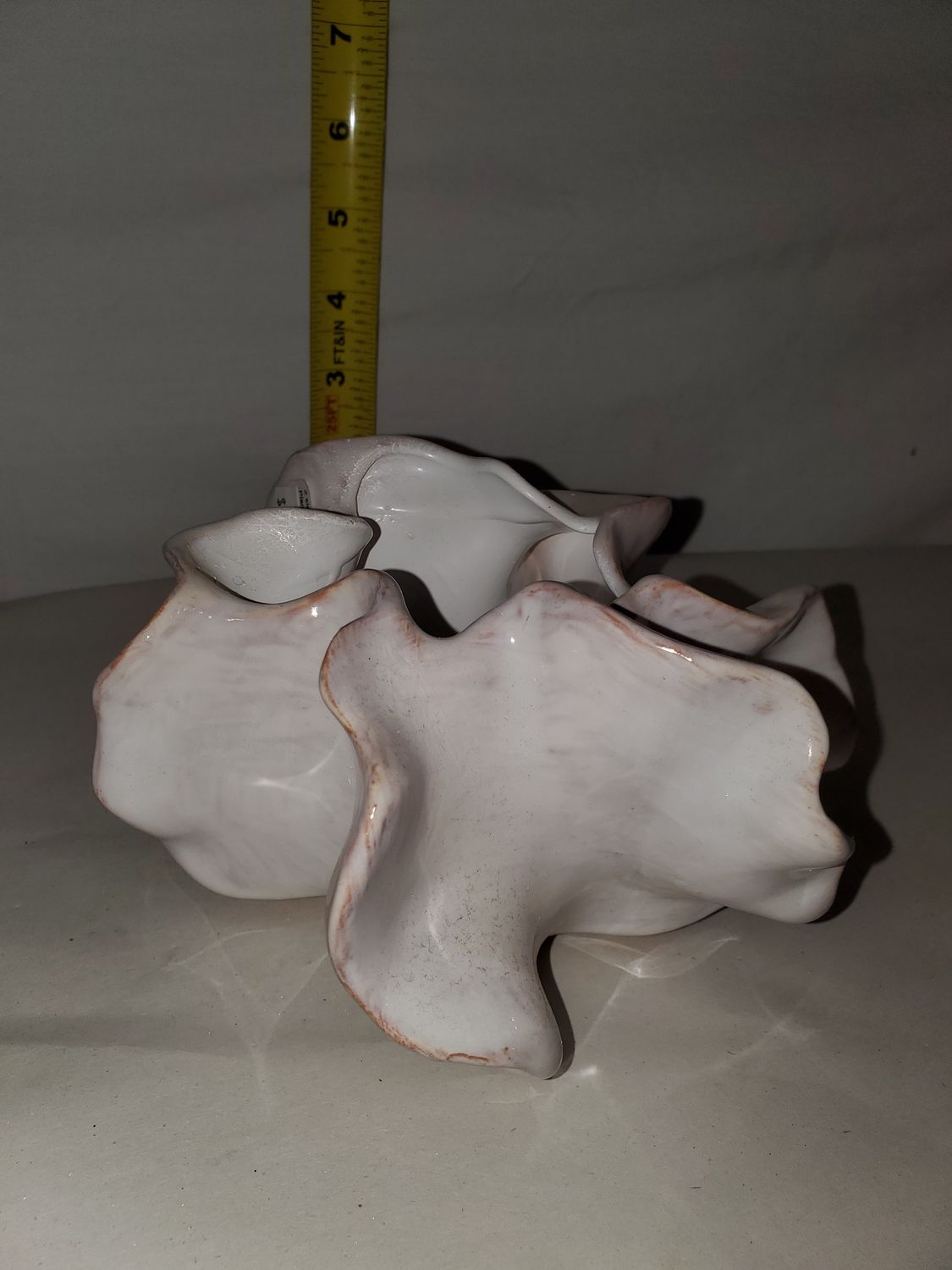 Planter, Scalloped Ivory 2 sizes