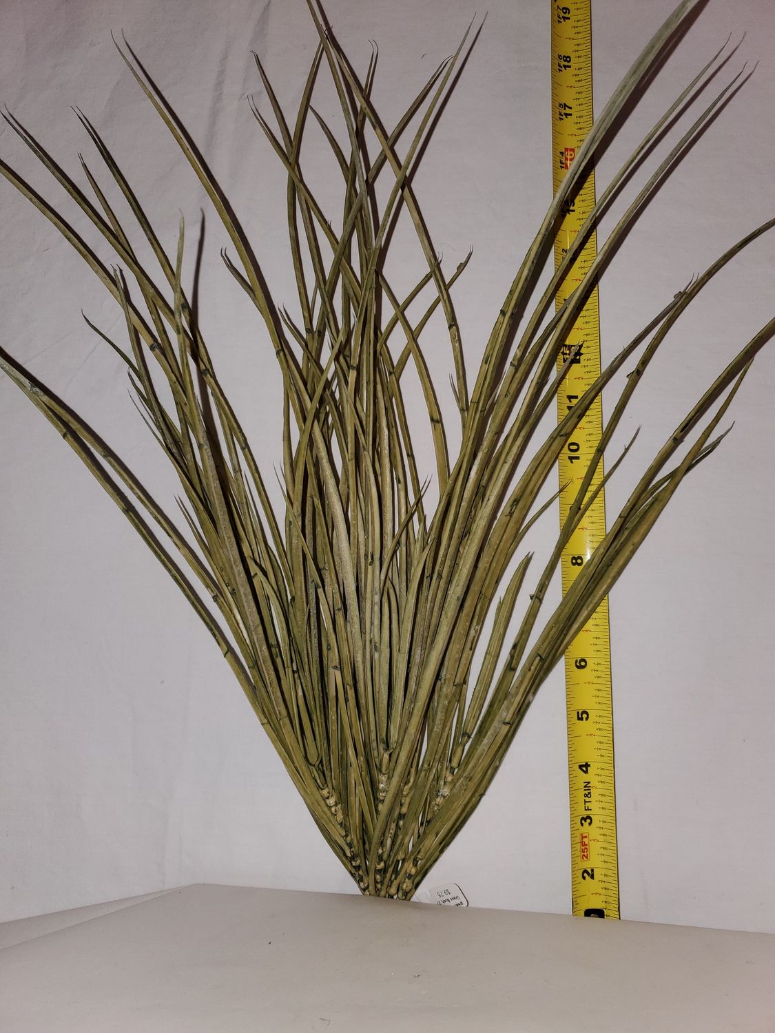Grass Bush, 21" green