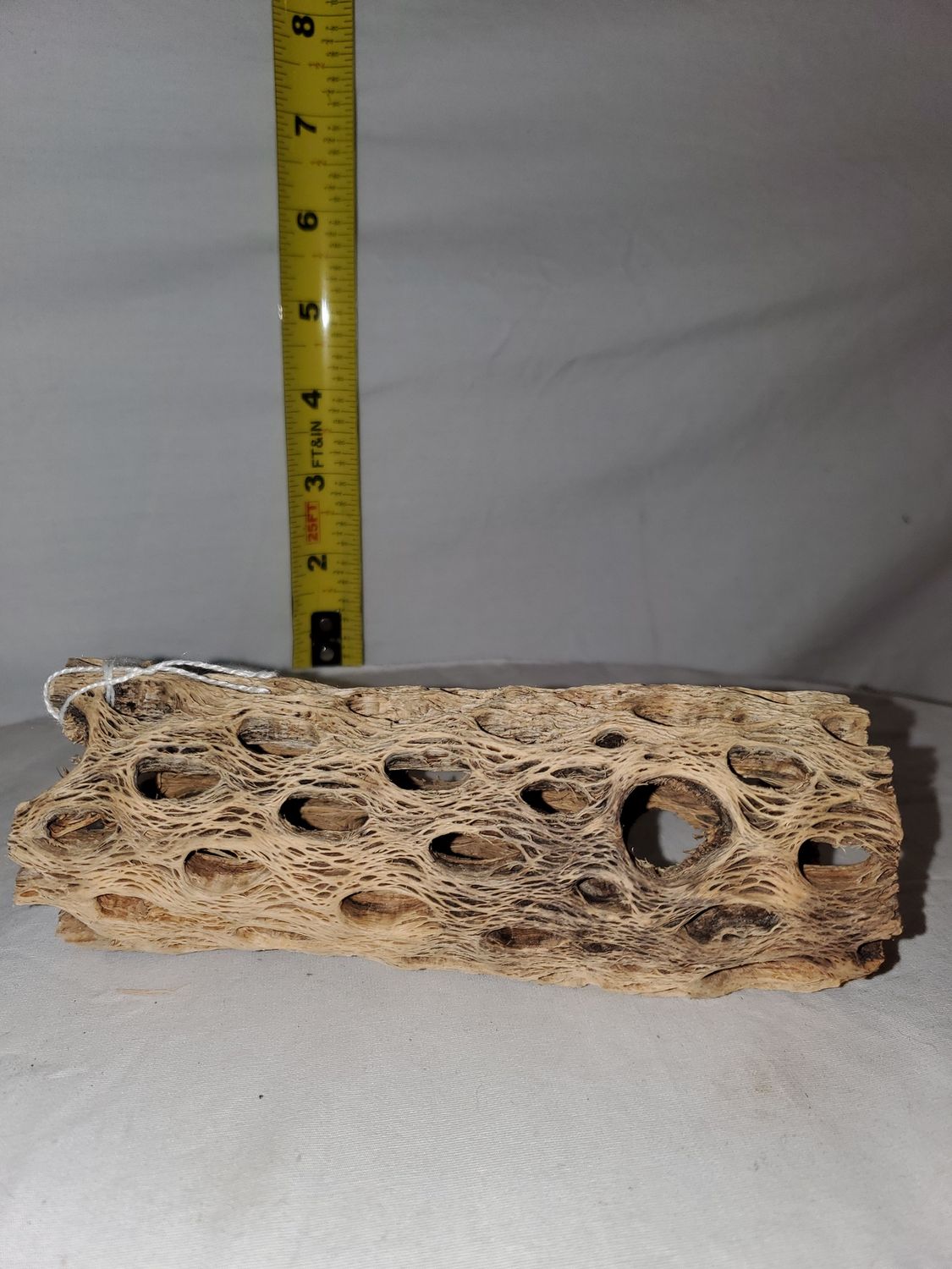 Natural Cholla Wood 6"