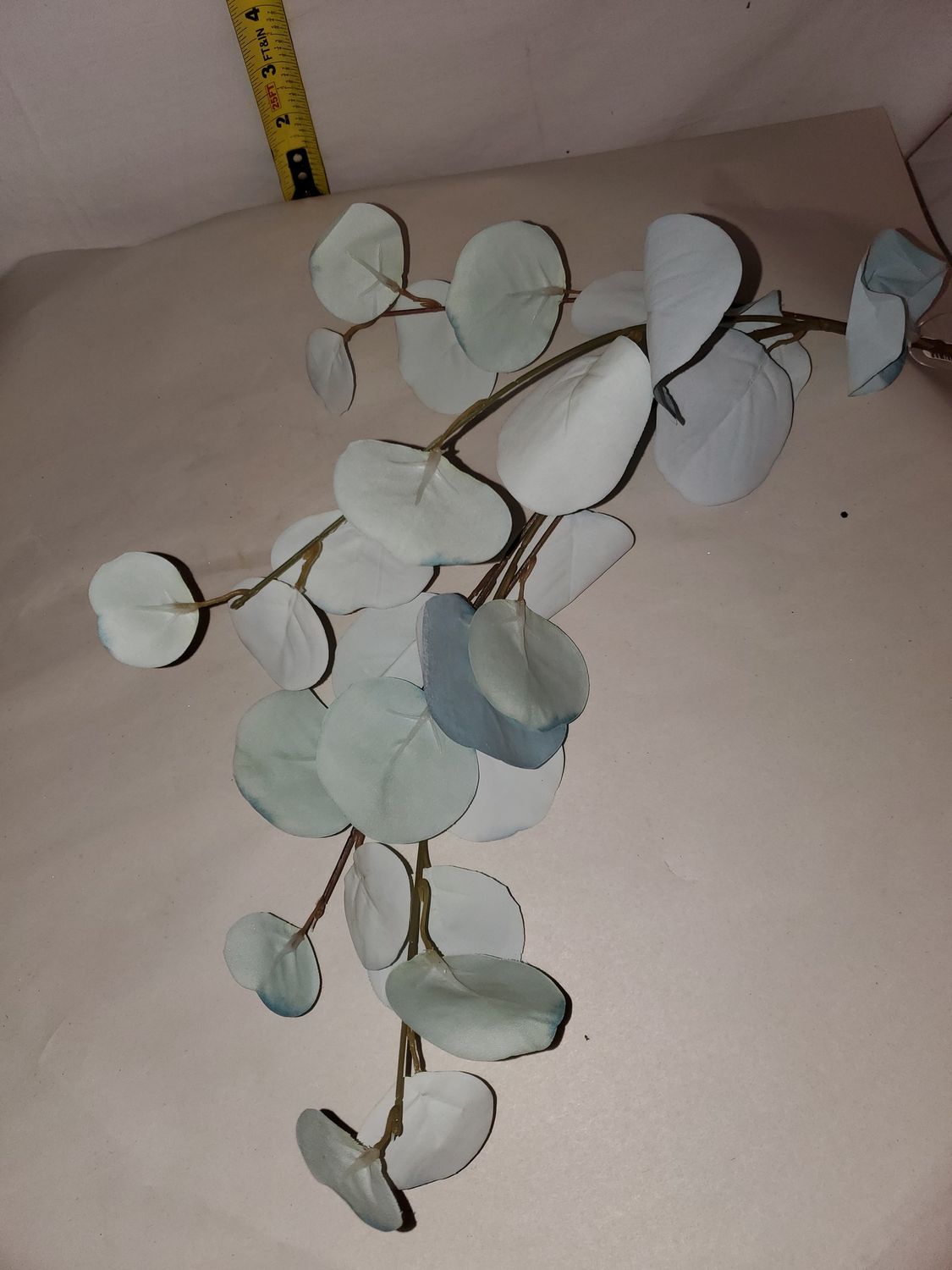 Spray, Eucalyptus 34"